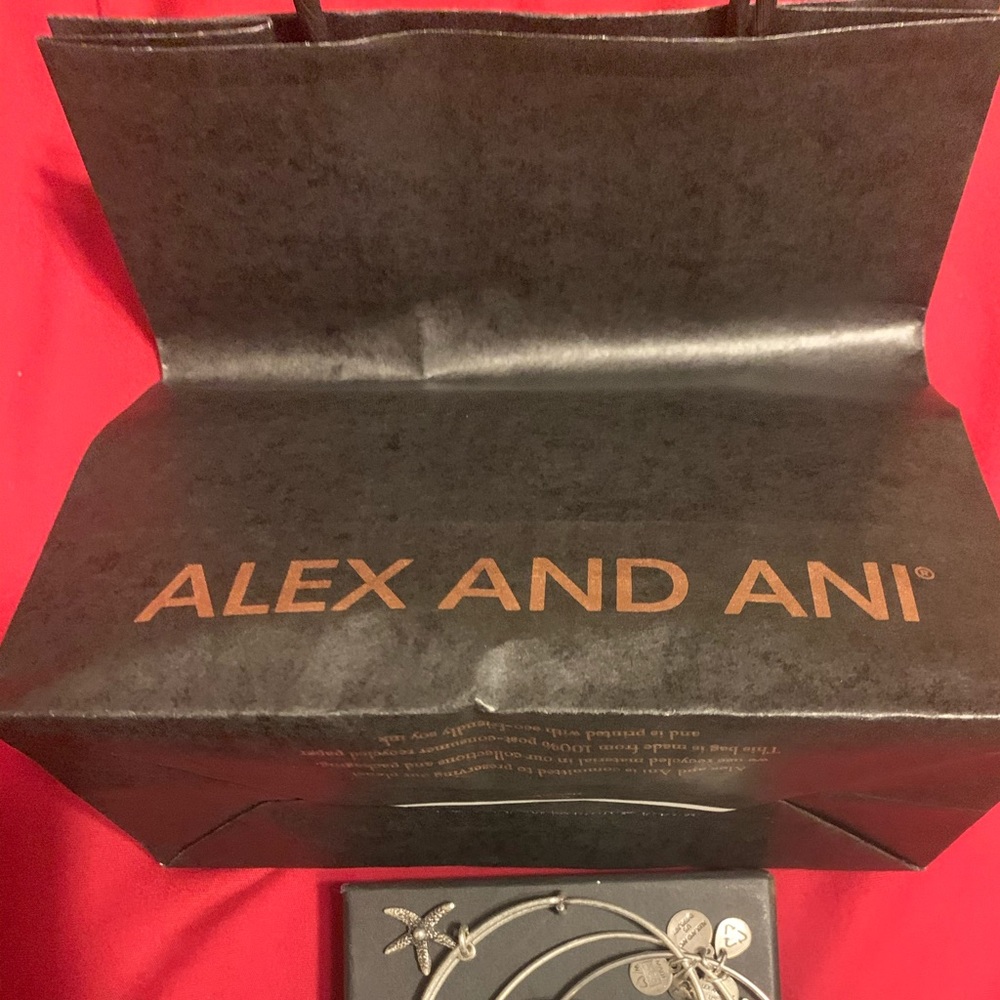 🚫SOLD🚫Alex and Ani Silver Bracelets - Picture 12 of 12
